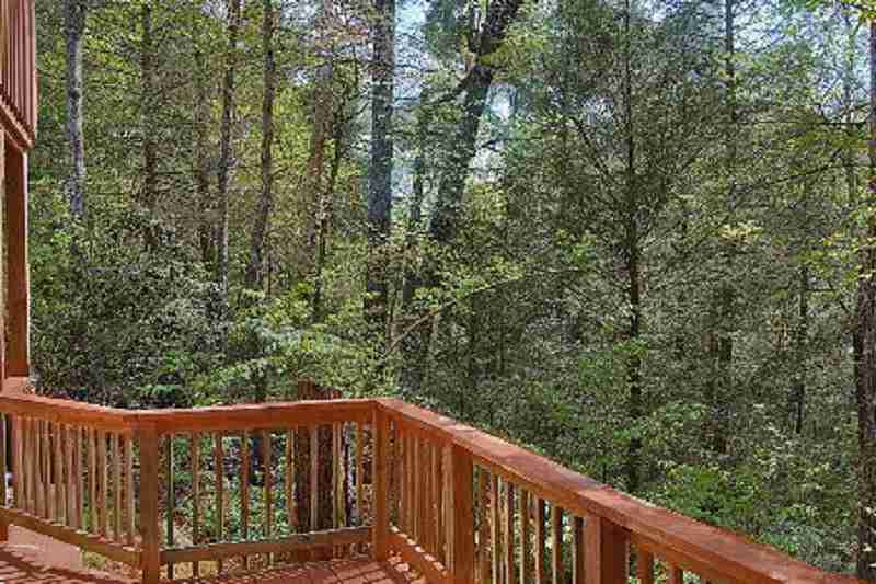 Black Bear Mountain Cabin