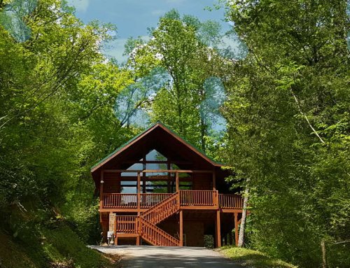 Black Bear Falls Cabin – 5 bedroom 3.5 bathroom/sleeps 15